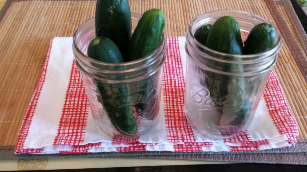 Pickles- before prep