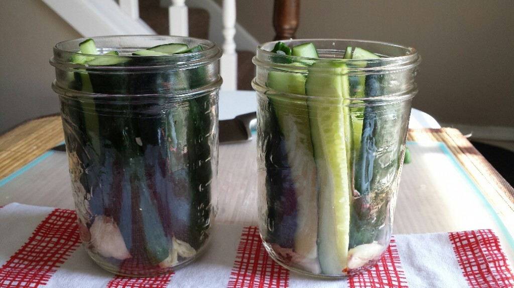 Pickles- in jar before liquid