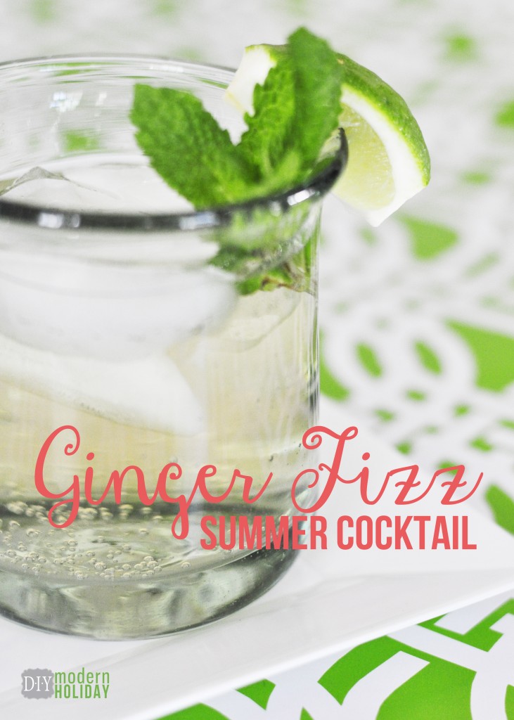 Everyday Party Magazine Ginger Fizz by DIY Modern Holiday