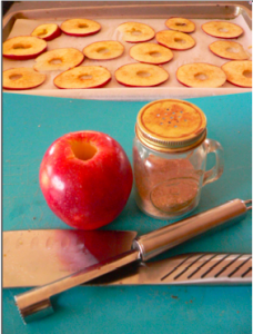 Everyday Party Magazine Apple Chips
