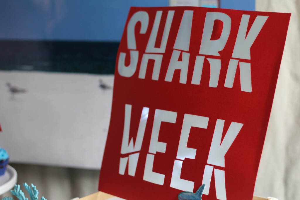Everyday Party Magazine shark Week 2015 22