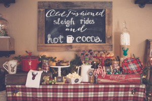 Everyday Party Magazine Christmas Cocoa Bar with Balsam Hill and Cricut
