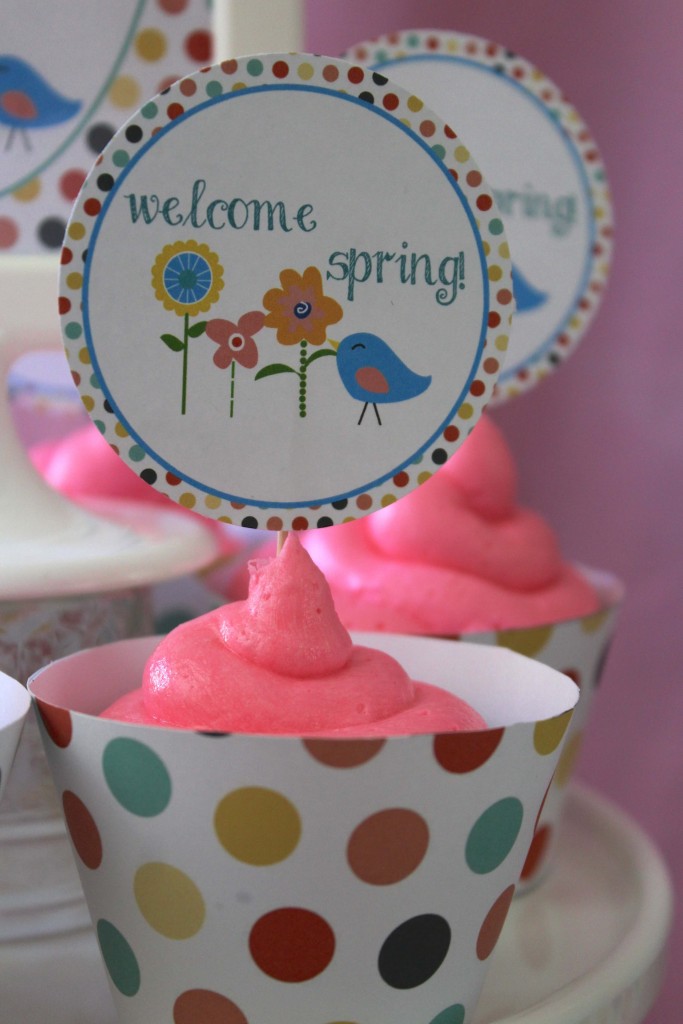 Everyday Party Magazine Welcome Spring Printable Party Set