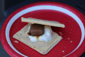 Everyday Party Magazine S'mores Station and Recipe
