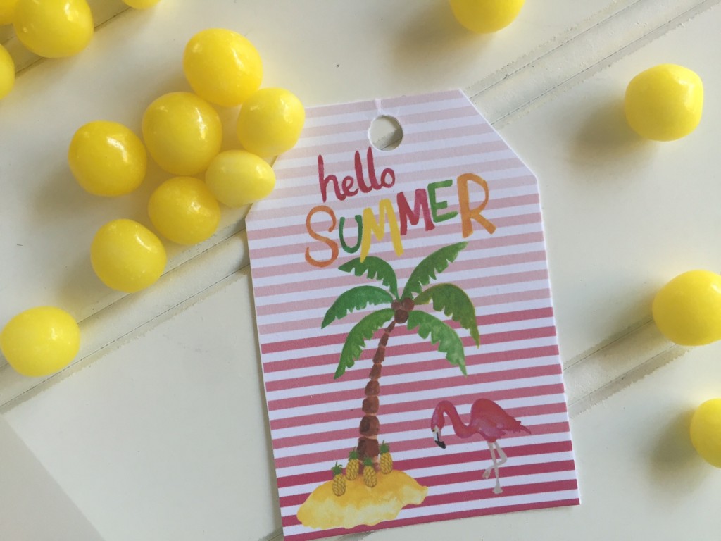 Everyday Party Magazine Hello Summer Free Printable Tag
