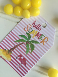 Everyday Party Magazine Hello Summer Free Printable Tag