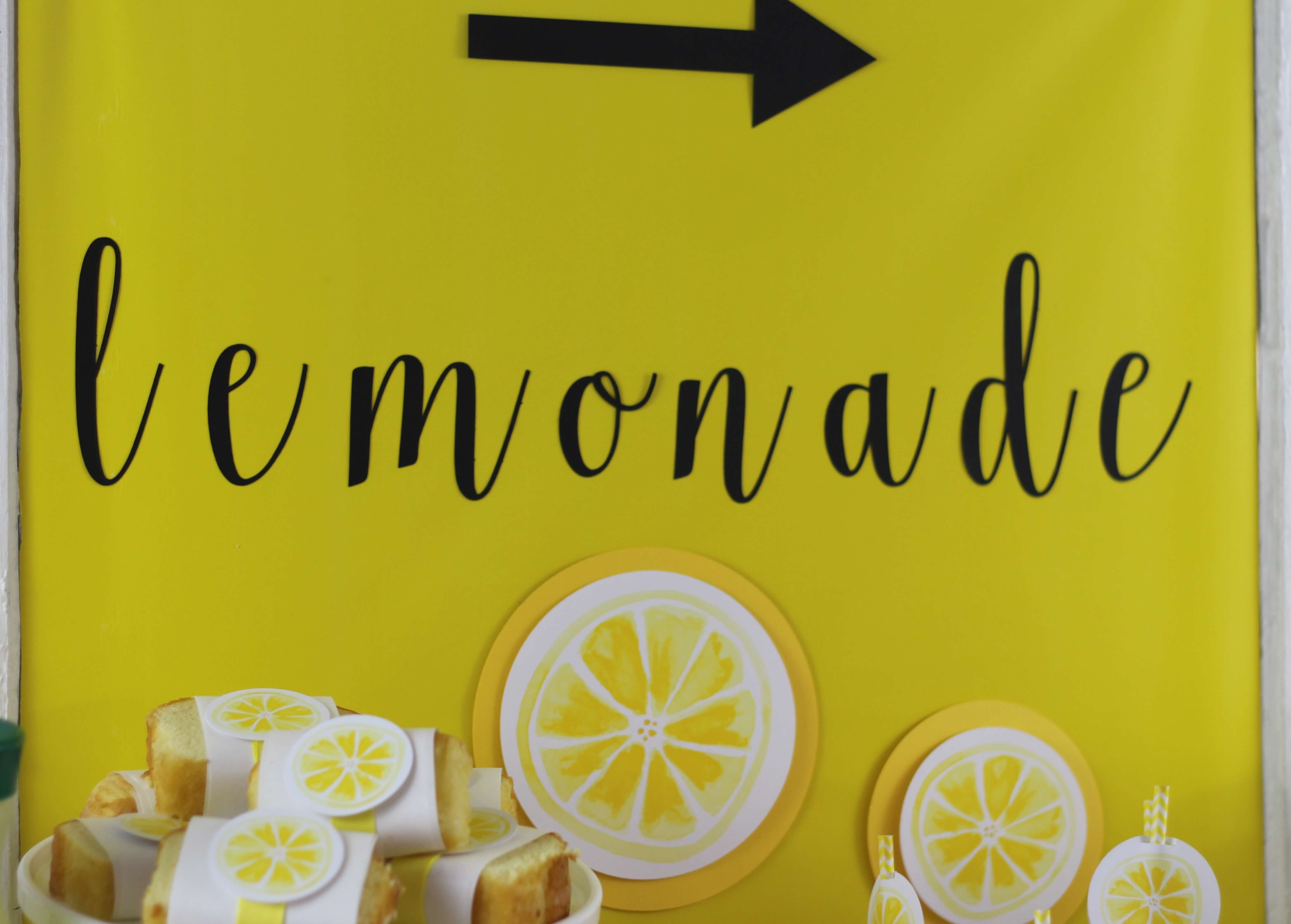 Everyday Party Magazine Lemonade Stand Party 