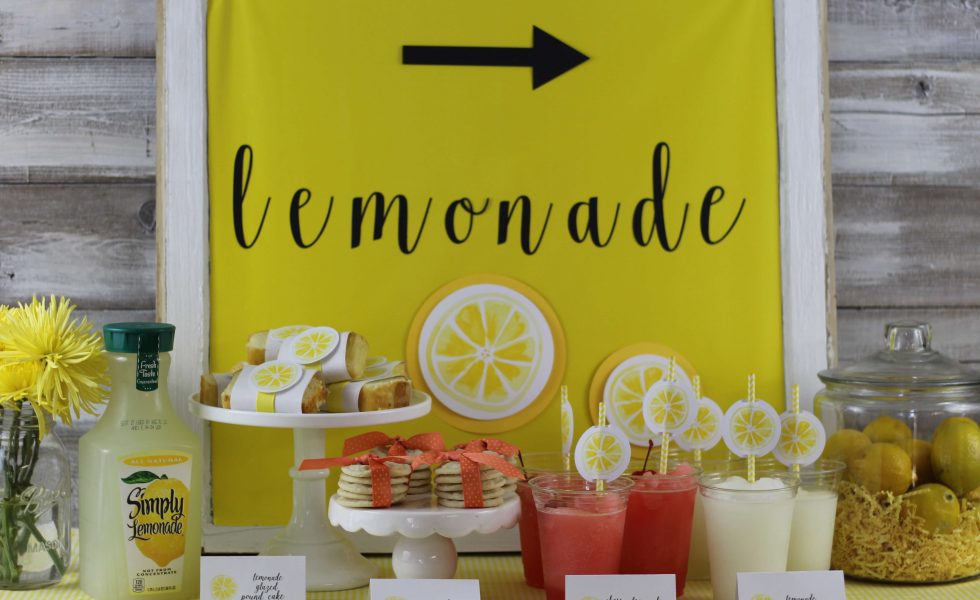 Everyday Party Magazine Lemonade Stand Party