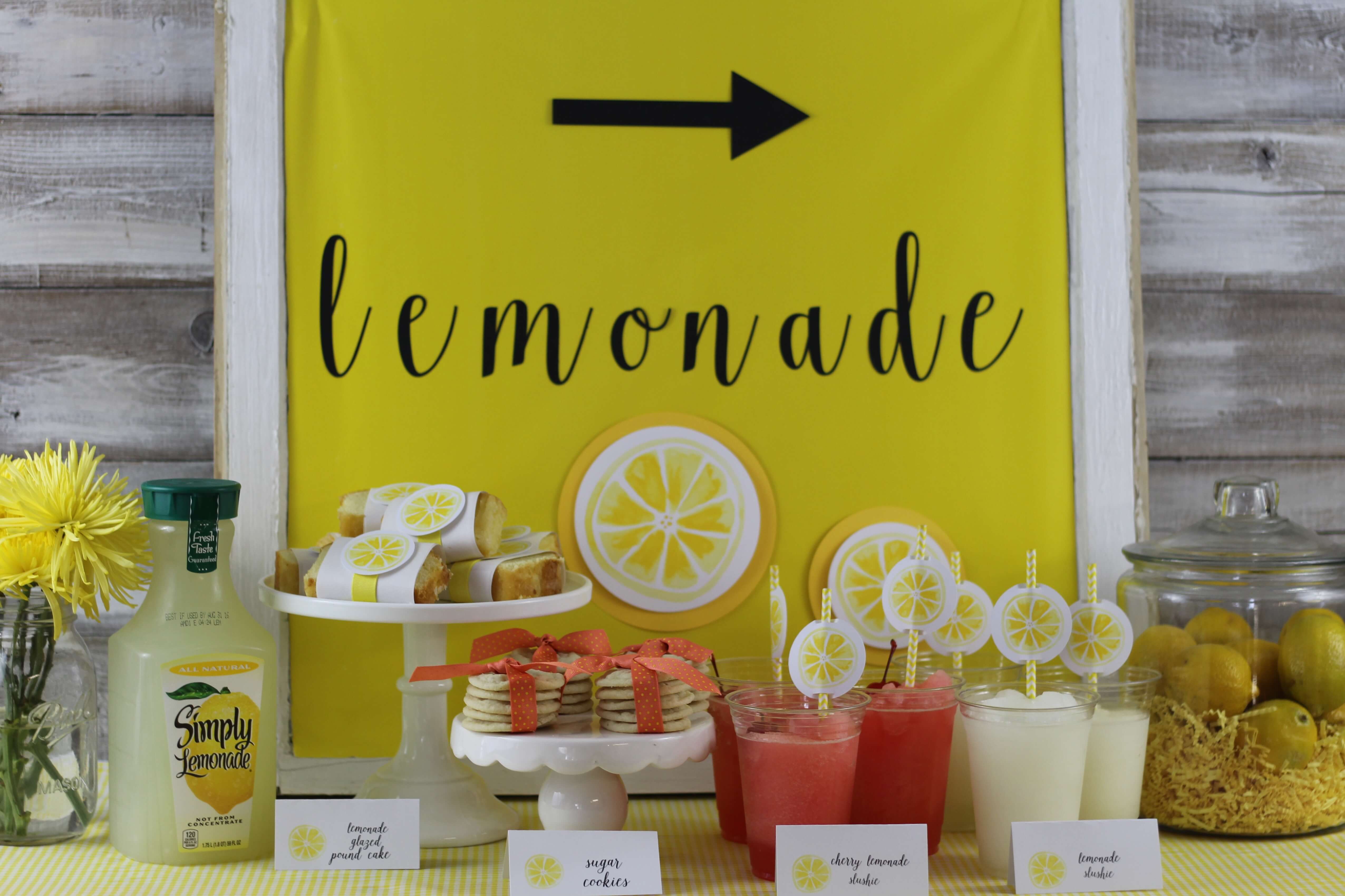 Everyday Party Magazine Lemonade Stand Party
