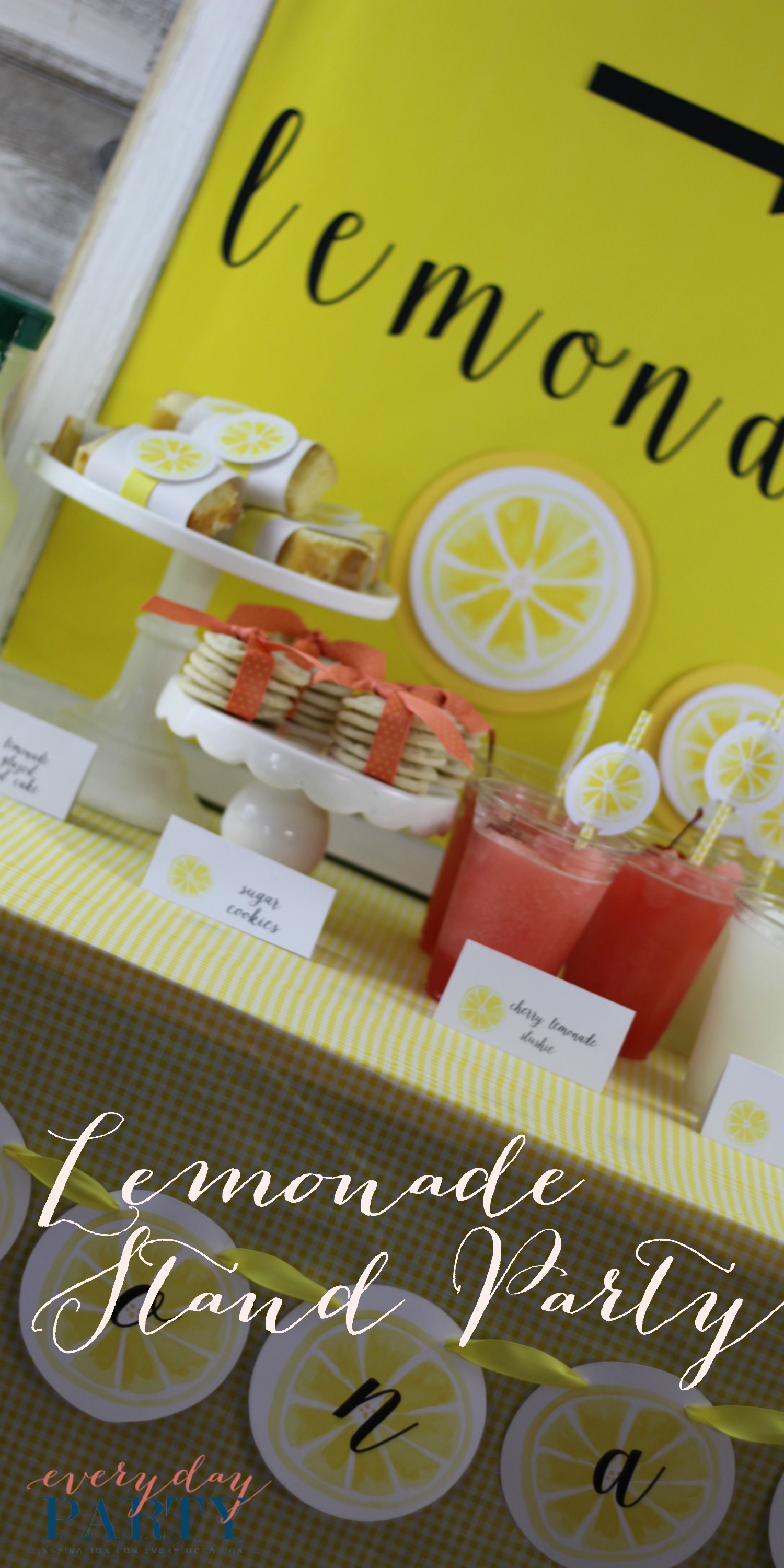Everyday Party Magazine Lemonade Stand Party 