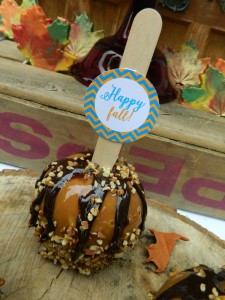 Everyday Party Magazine Happy Fall Free Printables