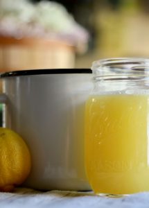 Everyday Party Magazine Lemonade Recipe