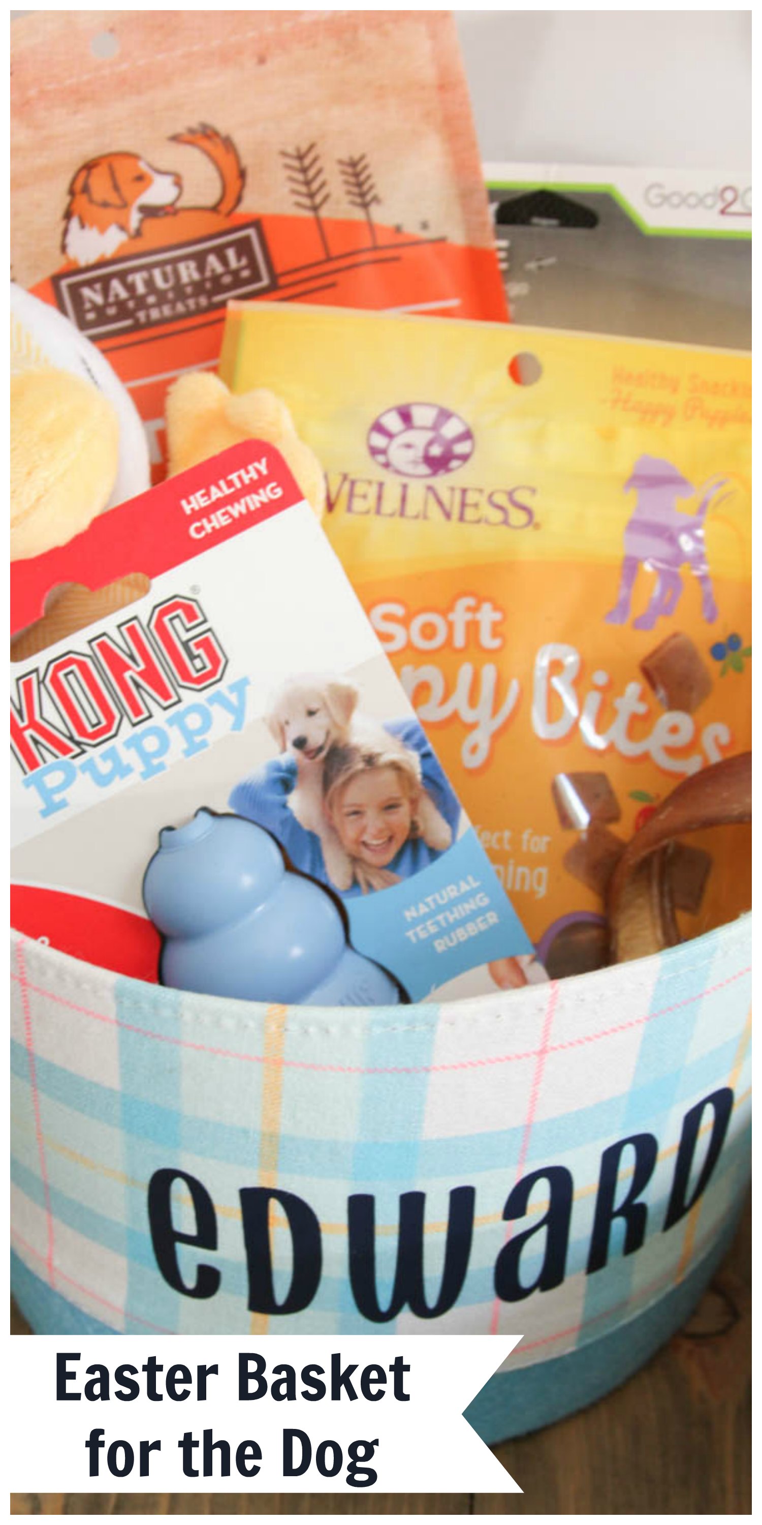 Everyday Party Magazine Easter Basket for the Dog #PetCo #EasterBasket #DIY