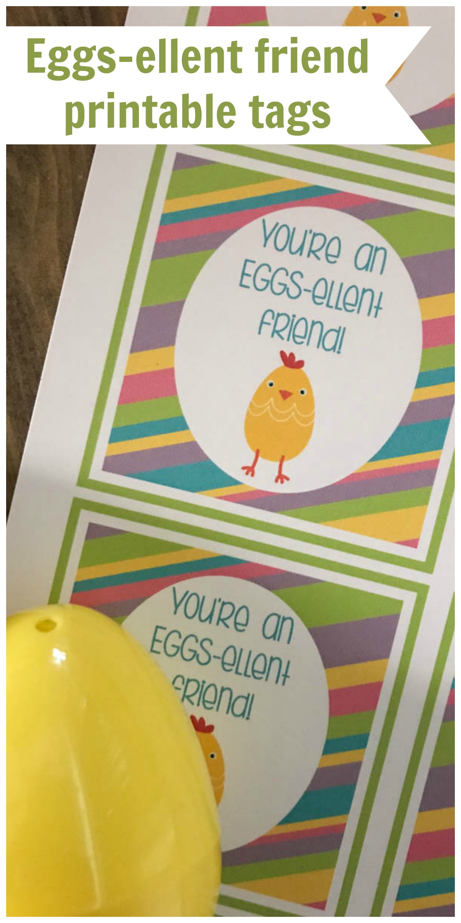 Everyday Party Magazine Eggs-ellent Friend Printable Tags #Easter #Punny #Treat