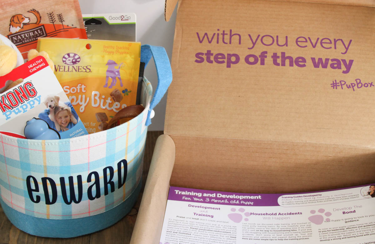 Everyday Party Magazine Easter Basket for the Dog #PetCo #EasterBasket #DIY