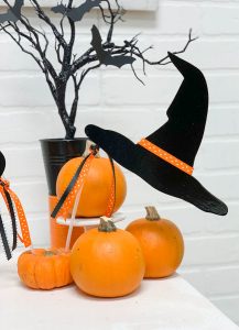 Witch Hat Halloween Photo Prop