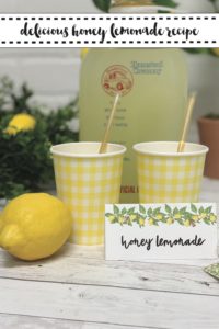 Lemonade Food Tent Lemons Gingham Cups