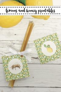 Sweet Honey Bee Party Favors