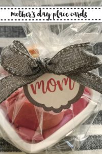 Mother's Day Place Card Gift Bag