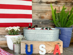 Vintage Rustic Fourth of July Party