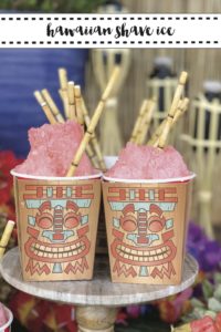 Shave Ice Tiki Cups