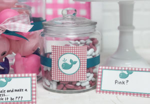 Pink and White Candy