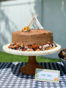 Camping Party Cake