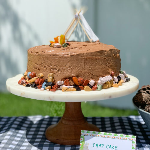 Camping Party Cake