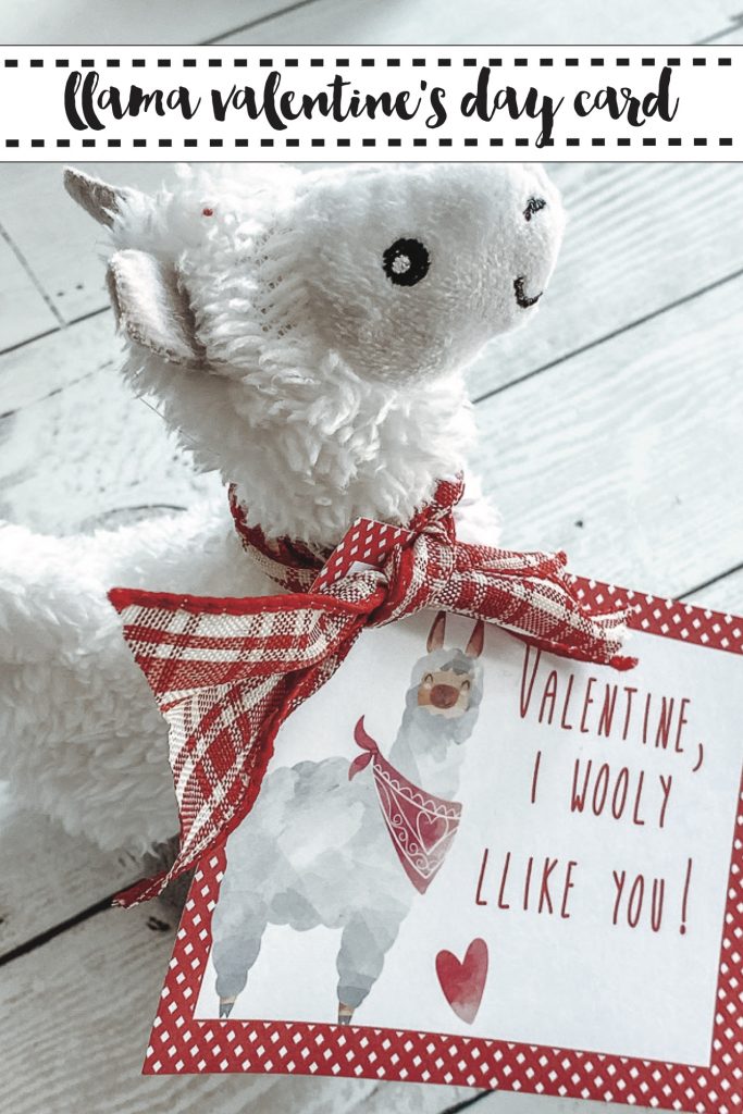 Llama Valentine's Day Gift