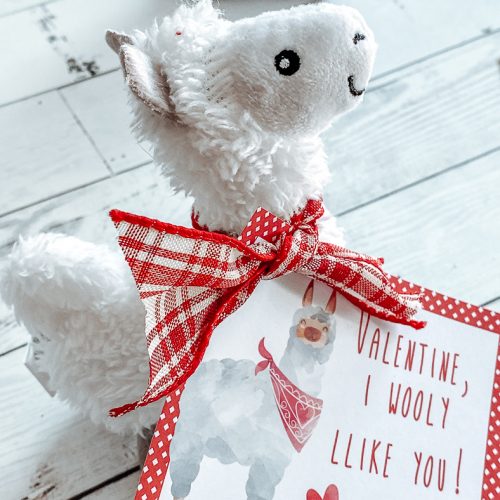 Plush Llama Valentine
