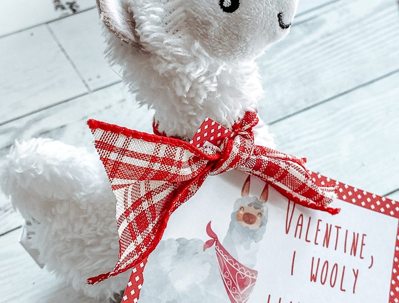 Plush Llama Valentine