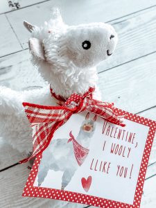 Llama Valentine's Day Card