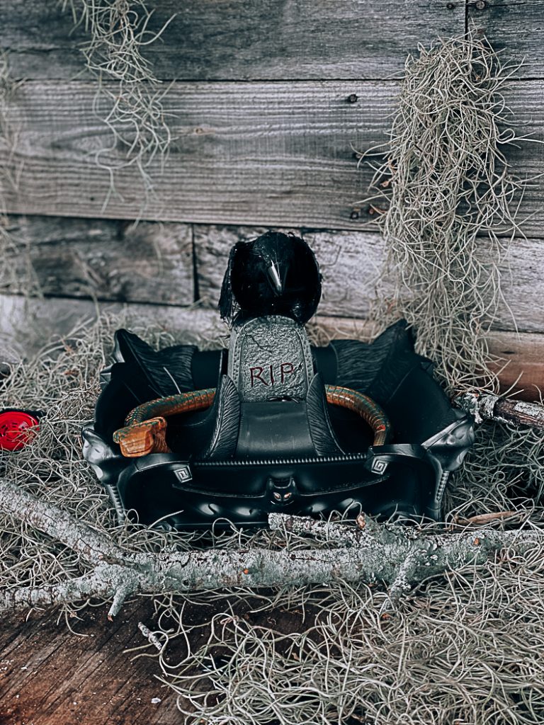 Raven and Snake Halloween Display