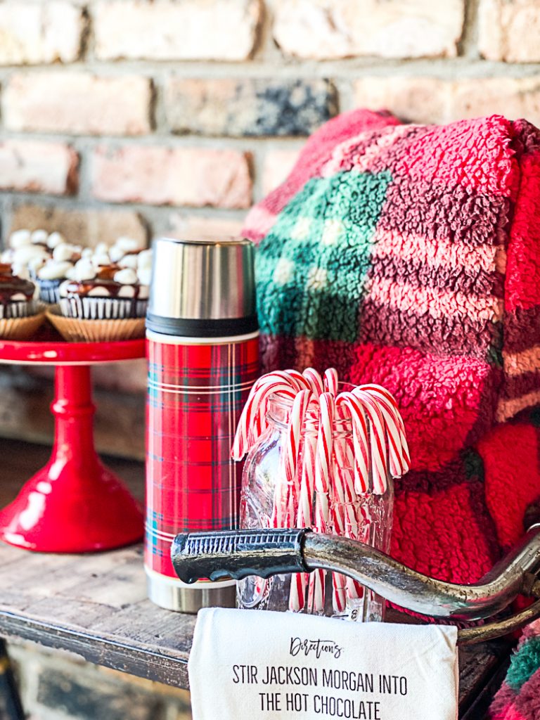 Plaid thermos Candy Canes
