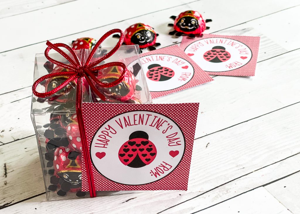 Printable Lady Bug Valentine's Day Cards