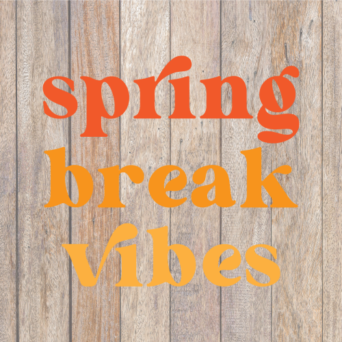 Spring Break Vibes SVG Shop Image