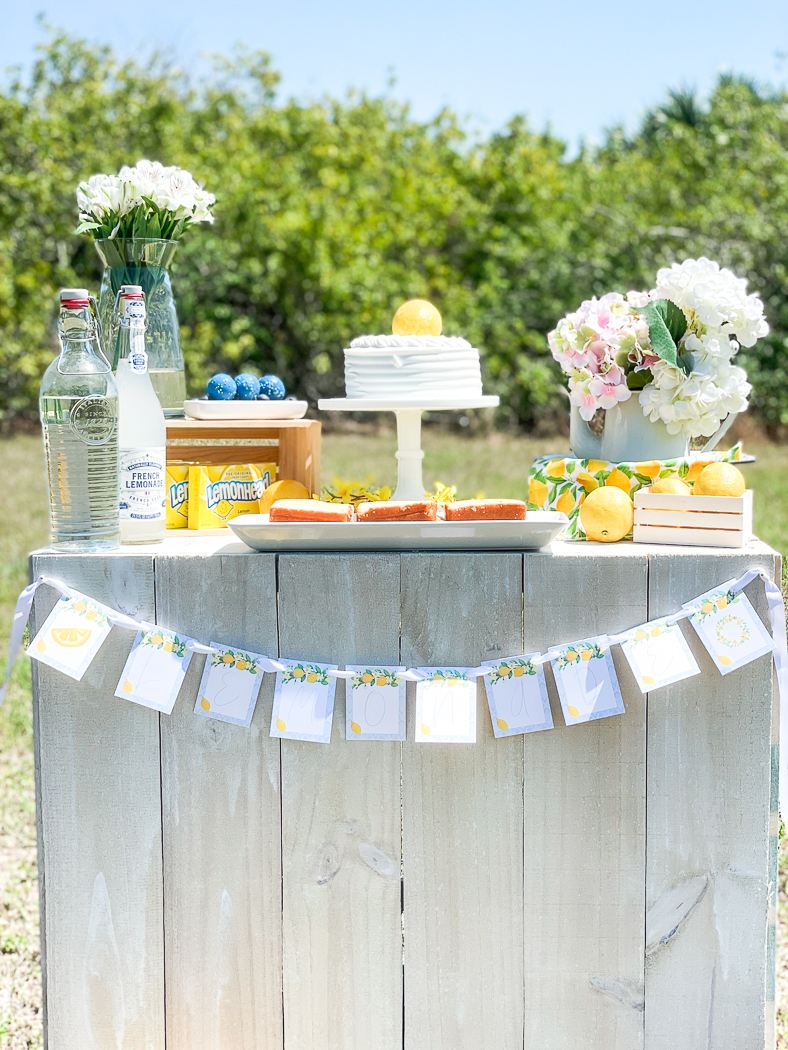 Lemonade Stand Party Table