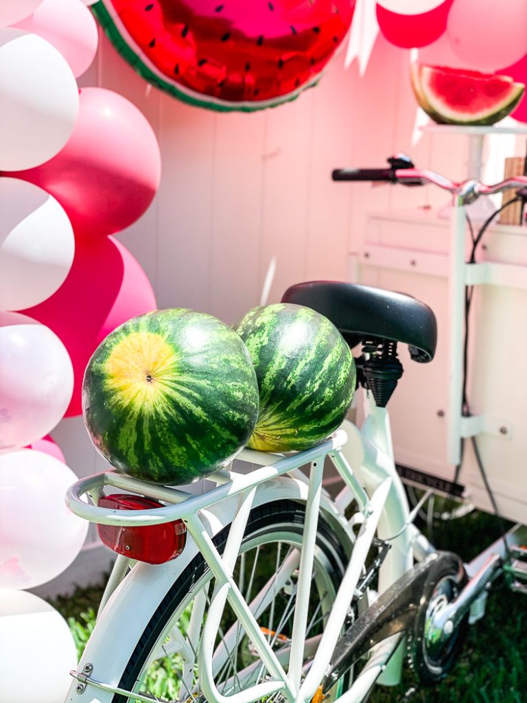 Watermelons Ice Cream Cart