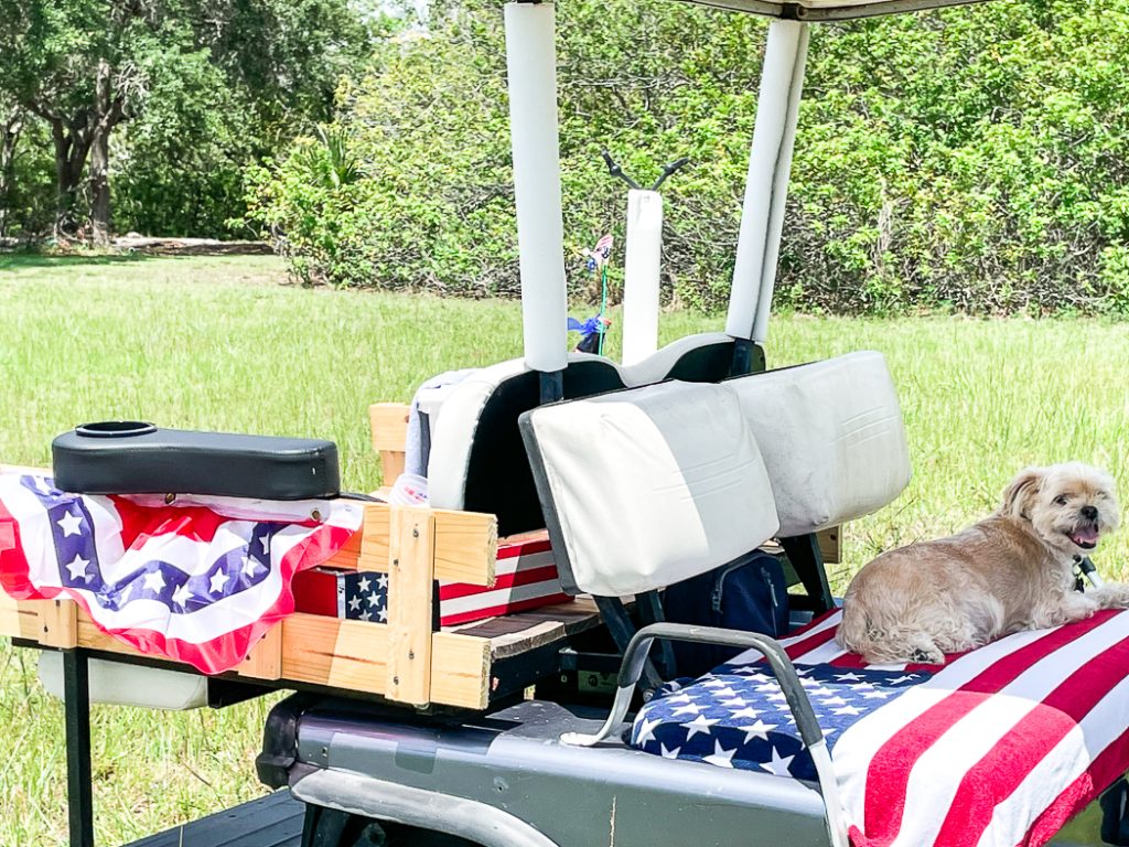 Patriotic Golf Cart