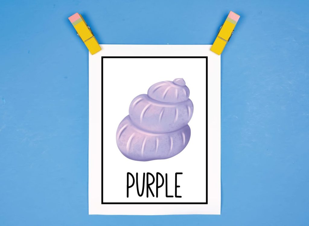 Purple Flash Card