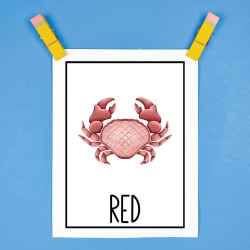 Red Crab Printable