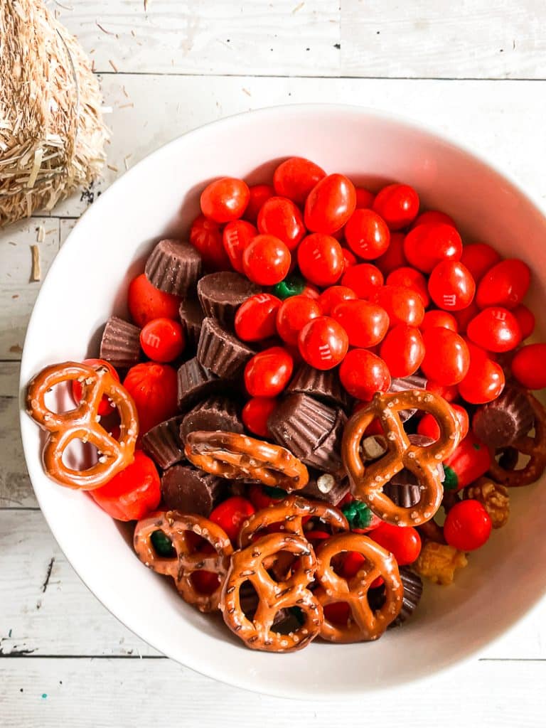 Fall Candy Snack Bowl