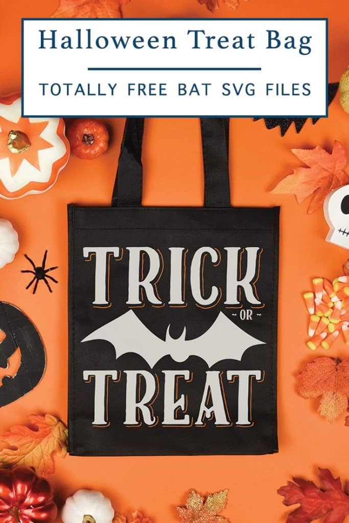 Bat Themed Trick or Treat Bag