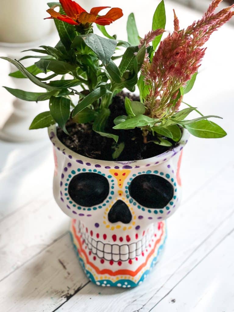 Day of the Dead Planter