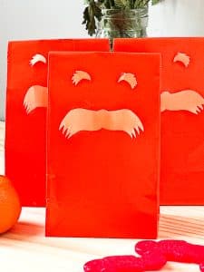 Orange Party Favor Bags