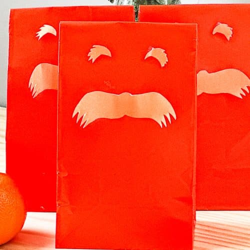 Orange Party Favor Bags