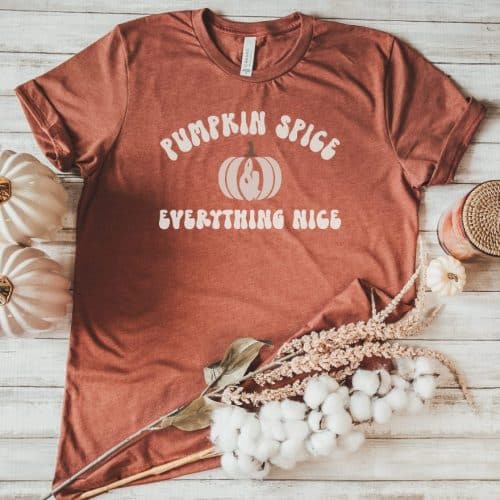 Pumpkin Spice Season Shirt
