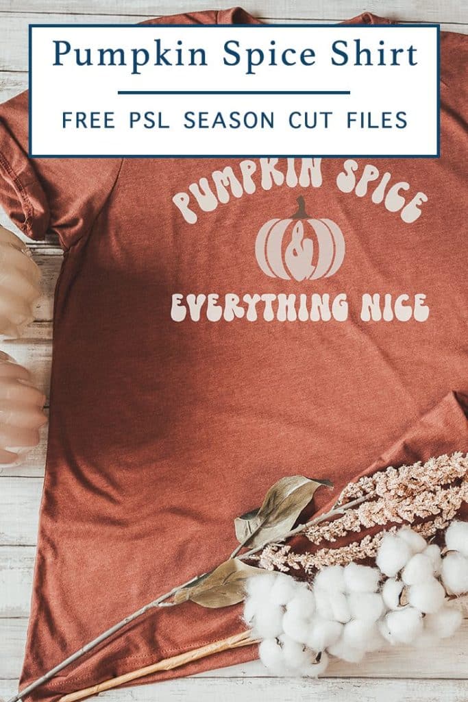 Pumpkin Spice and Everything Nice Shirt 